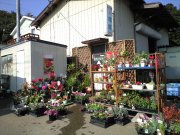 「花匠」　（埼玉県入間郡三芳町）の花屋店舗写真1